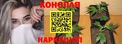 стаф Партизанск