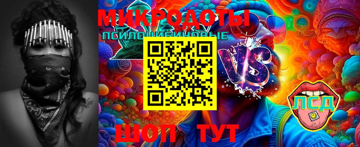 Псилоцибиновые грибы Psilocybe  Вход с VPN  Армавир 