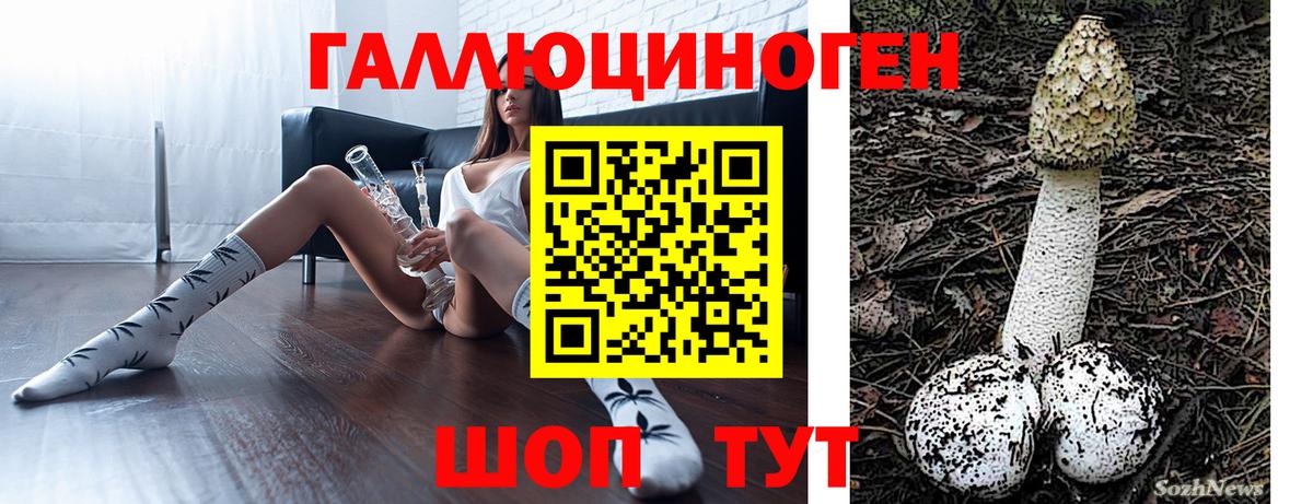 Псилоцибиновые грибы ЛСД Армавир
